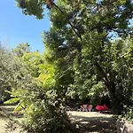 Michita Oleron Proche Et Foret *
