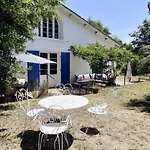 Michita Oleron Proche Et Foret *