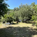 Michita Oleron Proche Et Foret Grand-Village-Plage