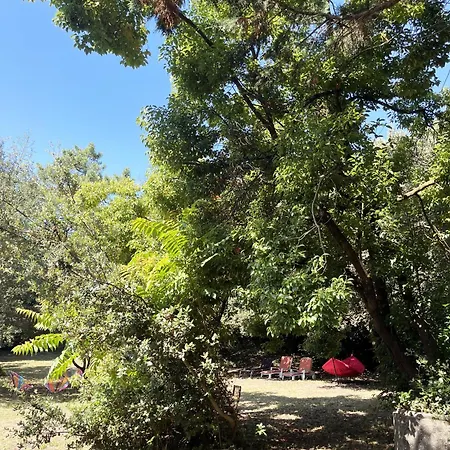 Michita Oleron Proche Et Foret *