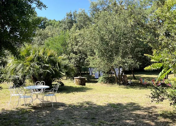 Michita Oleron Proche Et Foret Grand-Village-Plage