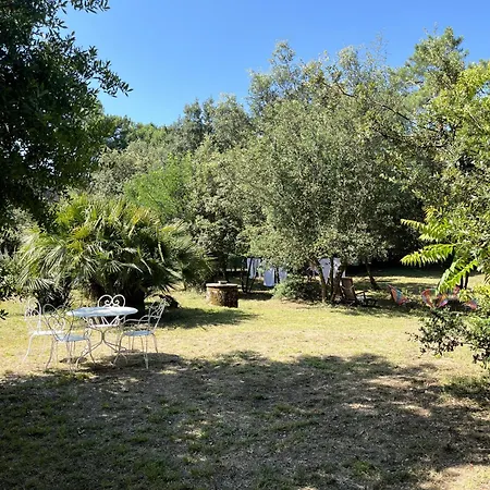Michita Oleron Proche Et Foret Grand-Village-Plage